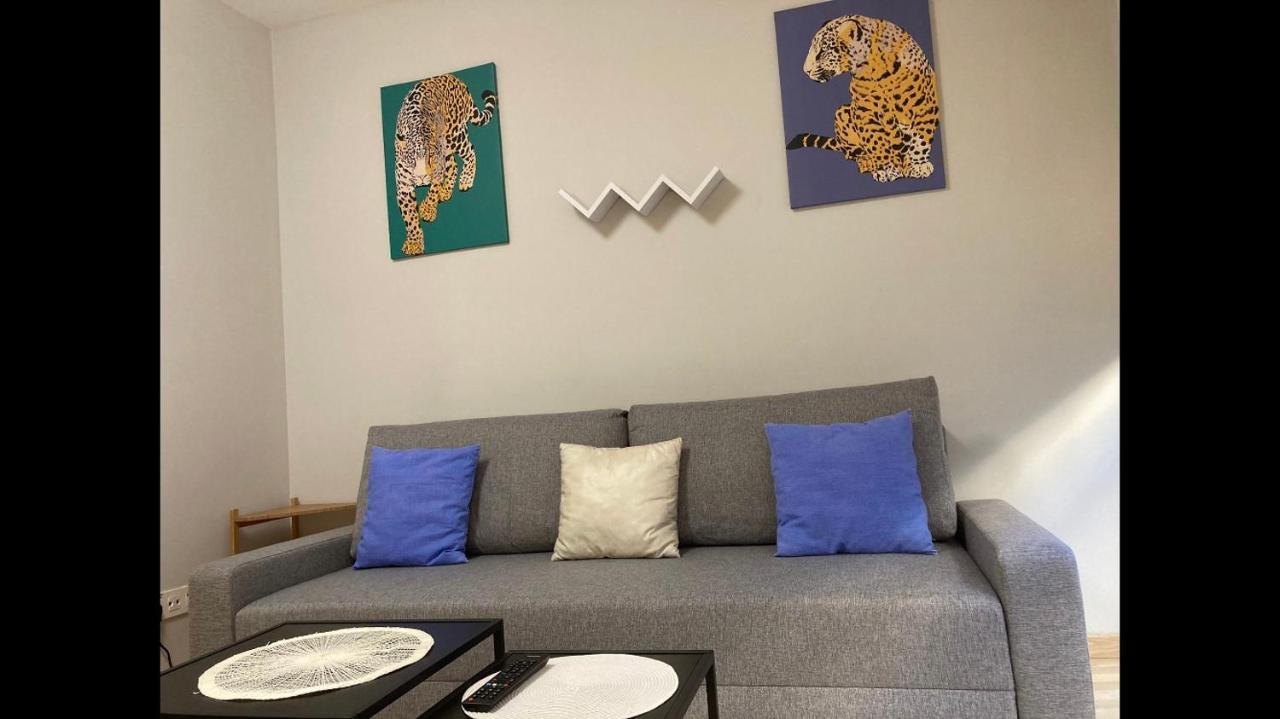 New Studio Sito 6 Parking Gratis Саламанка Экстерьер фото